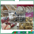China Vegetable Fruit FDG Food Freeze Dryer
